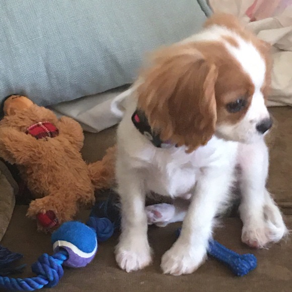 Meet your Posher, Jen - Picture 1 of 1